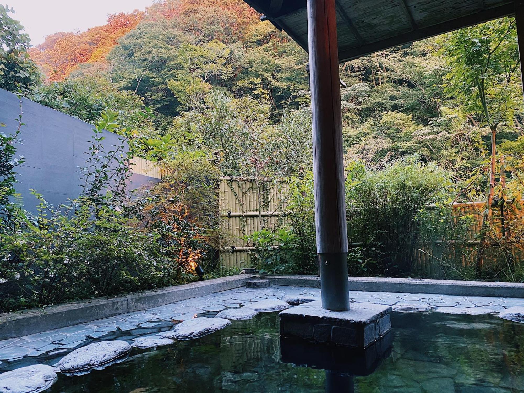 Onsen Guest House Tsutaya Hakone Exterior foto